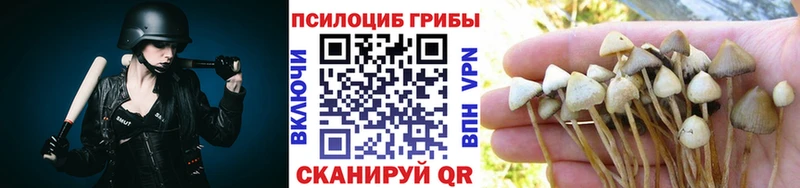 Псилоцибиновые грибы MAGIC MUSHROOMS Рассказово