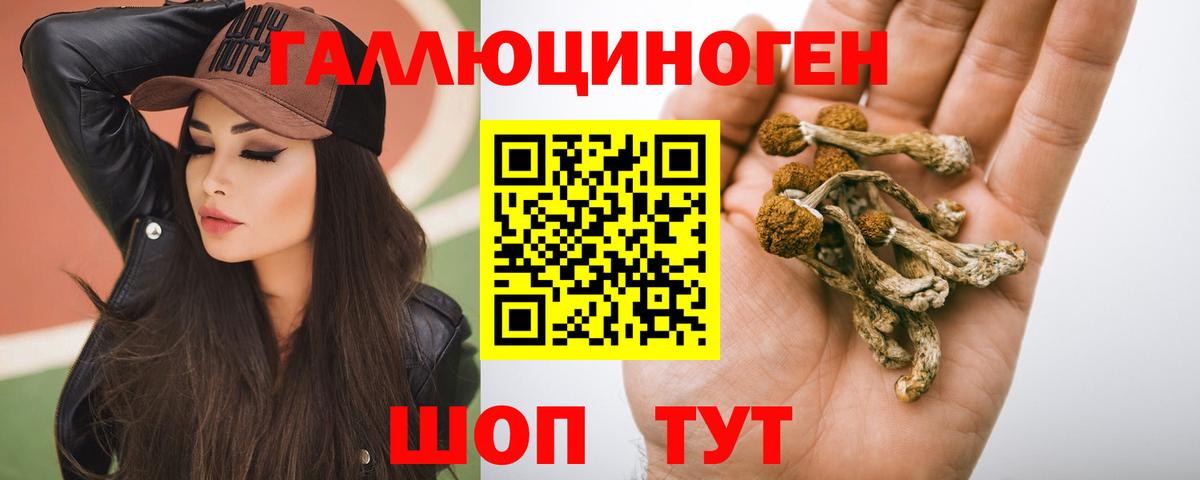 Псилоцибиновые грибы прущие грибы Рассказово