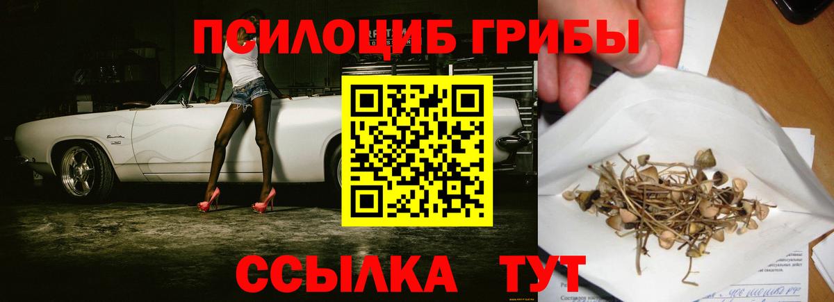 наркотики  Псилоцибиновые грибы прущие грибы  Вход с VPN  Рассказово  Галлюциногенные грибы Psilocybe 