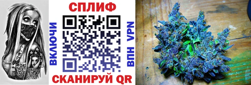 купить наркотик  Рассказово  mega ссылка  Каннабис сатива 