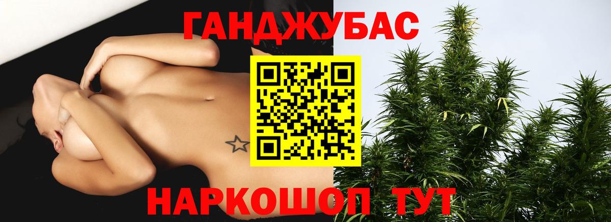 Рассказово  Конопля семена  Конопля план  Вход с VPN  Конопля сатива 
